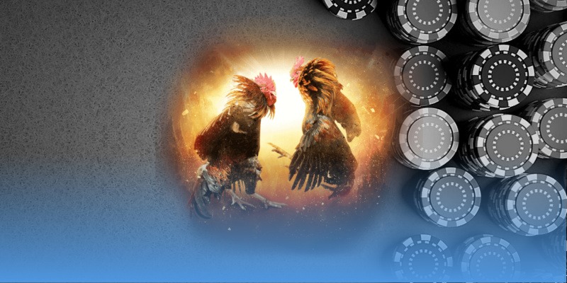 78win ⚽️ Trang Chủ WC 78win.com T/7 2026 canopystyle | +78k 24 Sự kiện ưu đãi dành cho hội viên